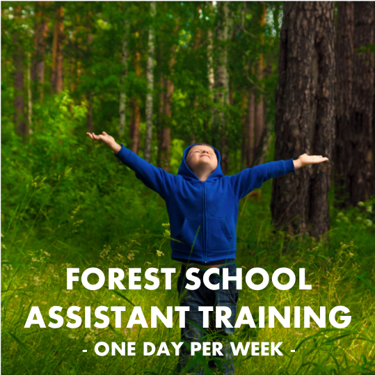 Forest School Assistant Training: 13.09.2024 (Friday training)