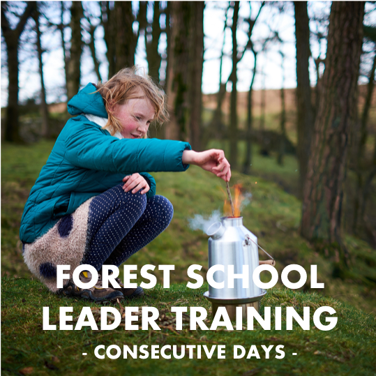 Forest School Leader Training: 19-08-2024 (Monday-Friday training)