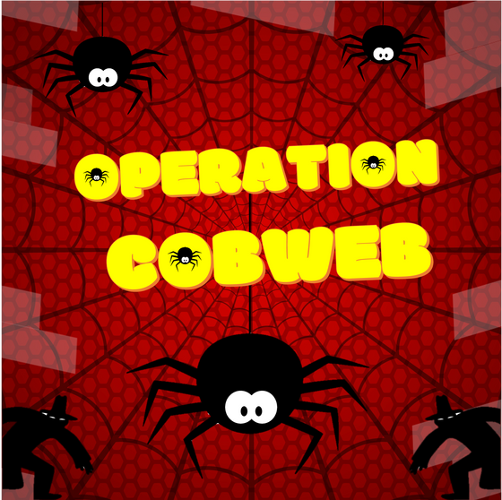 Operation Cobweb: 05.08.2024 - 09.08.2024