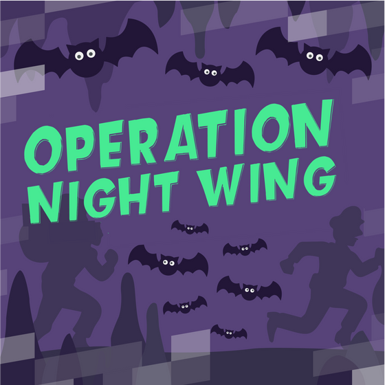 Operation Night Wing: 12.08.2024 - 16.08.2024