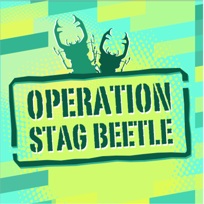 Operation Stag Beetle: 12.08.2024 - 16.08.2024