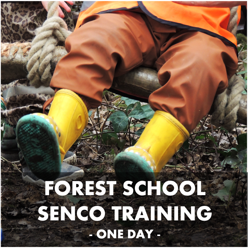Forest School Training for SENCos: 06.11.2026